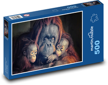 Orangutan - opice, opičky Puzzle 500 dílků - 46 x 30 cm