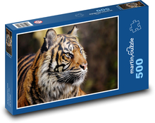 Tygr sumaterský - zvíře, lovec Puzzle 500 dílků - 46 x 30 cm