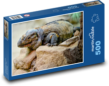 Iguana - gad, jaszczurka Puzzle 500 elementów - 46x30 cm