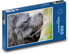 Lew morski - bestia, płetwonogi Puzzle 500 elementów - 46x30 cm