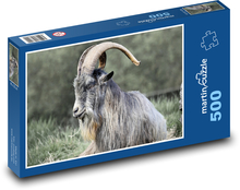 Irische Ziege - Tier, Säugetier Puzzle 500 Teile - 46 x 30 cm
