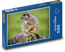 Surikata - zviera, cicavec Puzzle 500 dielikov - 46 x 30 cm