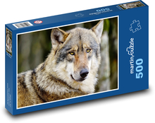 Vlk šedivý - šelma, zvíře Puzzle 500 dílků - 46 x 30 cm