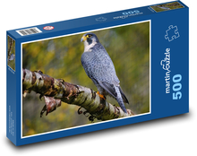 Falcon - predator, bird Puzzle of 500 pieces - 46 x 30 cm 