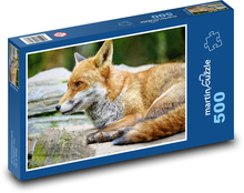 Líška - lovec, cicavec Puzzle 500 dielikov - 46 x 30 cm 