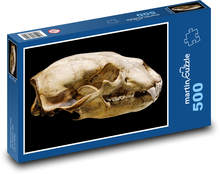 Lebka ľadového medveďa - zviera, cicavec Puzzle 500 dielikov - 46 x 30 cm 