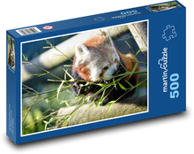 Roter Panda - Pflanzenfresser, Tier Puzzle 500 Teile - 46 x 30 cm