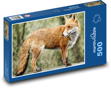 Fuchs - wildes Tier, Säugetier Puzzle 500 Teile - 46 x 30 cm