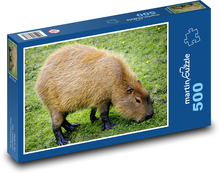 Kapybara - hlodavec, cicavec Puzzle 500 dielikov - 46 x 30 cm 
