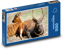 Antilopa bongo - pruhované zvíře, zoo Puzzle 500 dílků - 46 x 30 cm