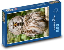 Wielka szara sowa - ptak, drapieżnik Puzzle 500 elementów - 46x30 cm