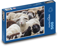 Stádo ovcí - zvířata, savci Puzzle 500 dílků - 46 x 30 cm