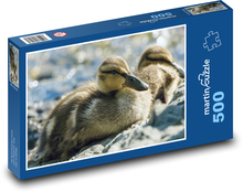 Kačice - vodné vtáctvo, vtáky Puzzle 500 dielikov - 46 x 30 cm 
