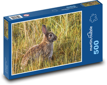 Králik v tráve - voľne žijúcich živočíchov, sedieť Puzzle 500 dielikov - 46 x 30 cm 