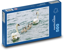 Rodzina łabędzi - ptactwo wodne, pisklęta Puzzle 500 elementów - 46x30 cm