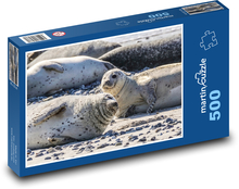 Seal - animal, beach Puzzle of 500 pieces - 46 x 30 cm