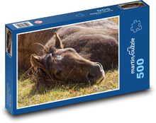 Hnědý kůň - zvíře, ležet Puzzle 500 dílků - 46 x 30 cm