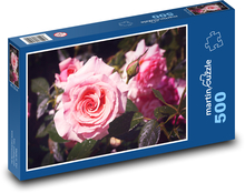 Růže - růžový květ, květina Puzzle 500 dílků - 46 x 30 cm