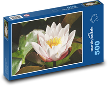 Bílý leknín - květ, voda Puzzle 500 dílků - 46 x 30 cm