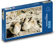Entlein - Enten, Vögel Puzzle 500 Teile - 46 x 30 cm