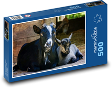 Schwarze Ziege - Ziege, Tier Puzzle 500 Teile - 46 x 30 cm