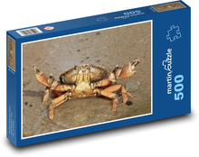 Krab - pláž, mäkkýše Puzzle 500 dielikov - 46 x 30 cm 