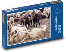 Stádo ovcí - zvířata, dobytek Puzzle 500 dílků - 46 x 30 cm