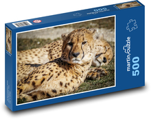 Gepardy - dzikie zwierzęta, ssaki Puzzle 500 elementów - 46x30 cm