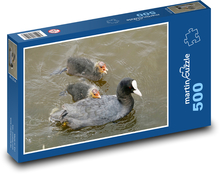 Lyska - vodní pták, zvíře Puzzle 500 dílků - 46 x 30 cm