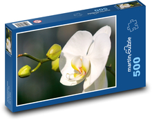 Weiße Orchidee - Blume, Pflanze Puzzle 500 Teile - 46 x 30 cm