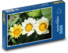 Yellow gazania - summer flower, garden Puzzle of 500 pieces - 46 x 30 cm 
