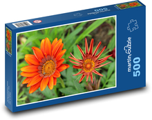 Pomarańczowa gazania - kwiat, ogród Puzzle 500 elementów - 46x30 cm
