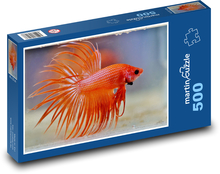 Akvarijné ryby - betta bojovník, zviera Puzzle 500 dielikov - 46 x 30 cm 