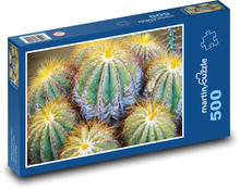 Kaktus - exotisch, Pflanze Puzzle 500 Teile - 46 x 30 cm
