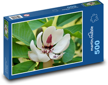 Magnolia - drzewo ozdobne, kwiat Puzzle 500 elementów - 46x30 cm