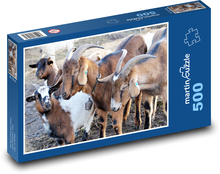 Kozy - farma, zvířata Puzzle 500 dílků - 46 x 30 cm