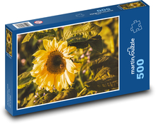 Slnečnica - žltý kvet, okvetné lístky Puzzle 500 dielikov - 46 x 30 cm 