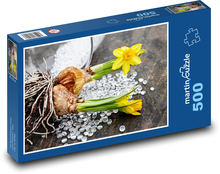 Žluté narcisy - jarní květiny, květ Puzzle 500 dílků - 46 x 30 cm