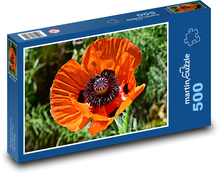 Vlčí mák - květ, rostlina Puzzle 500 dílků - 46 x 30 cm