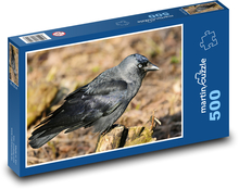 Kavka - bird, animal Puzzle of 500 pieces - 46 x 30 cm