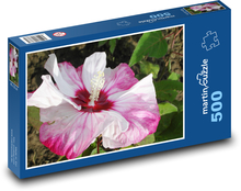 Różowy hibiskus - kwiat, kwiat Puzzle 500 elementów - 46x30 cm
