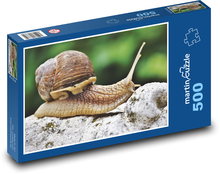 Slimák - mäkkýše, plazenie Puzzle 500 dielikov - 46 x 30 cm 