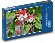 Fuchsie - květ, rostlina Puzzle 500 dílků - 46 x 30 cm