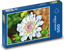 Jiřina - flower, garden Puzzle of 500 pieces - 46 x 30 cm 