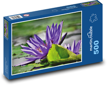 Fioletowa lilia wodna - roślina wodna, staw Puzzle 500 elementów - 46x30 cm
