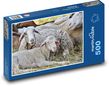 Schafe - Lamm, jung Puzzle 500 Teile - 46 x 30 cm