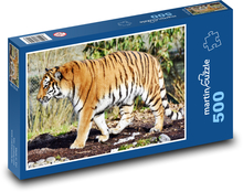 Tygrys - duży kot, drapieżnik Puzzle 500 elementów - 46x30 cm