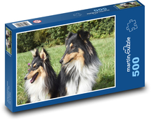 Shetland Shepherd - dogs, pets Puzzle of 500 pieces - 46 x 30 cm 