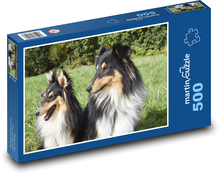 Shetland Shepherd - Hunde, Haustiere Puzzle 500 Teile - 46 x 30 cm