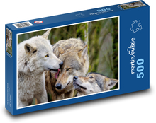 Graue Wölfe - Raubtiere, Säugetiere Puzzle 500 Teile - 46 x 30 cm